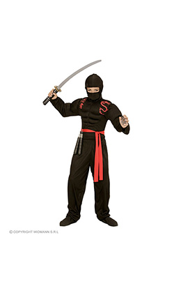 super ninja kind