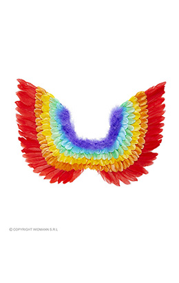 veren vleugels, regenboog