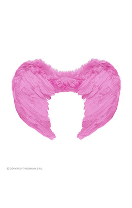 veren vleugels 37x50xm, rose