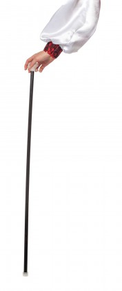 Wandelstok plastic