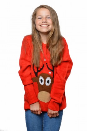 Kersttrui rood rendier (netto)
