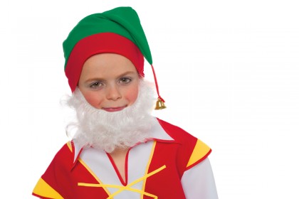 Ringbaardje
