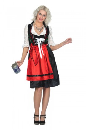 Dirndl jurk