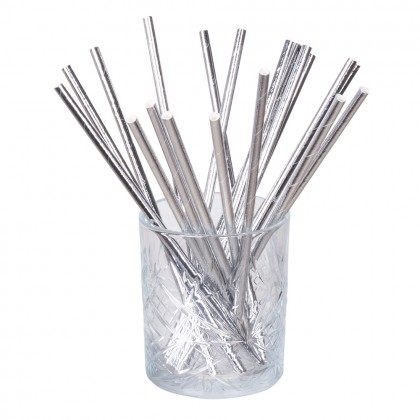 Set 20 papieren rietjes zilver (20 cm)