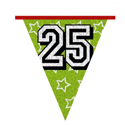 Holografische vlaggenlijn '25' (30 x 20 cm)(8 m)