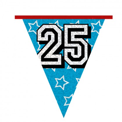 Holografische vlaggenlijn '25' (30 x 20 cm)(8 m)