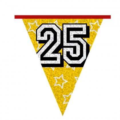 Holografische vlaggenlijn '25' (30 x 20 cm)(8 m)