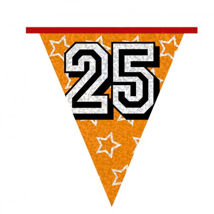 Holografische vlaggenlijn '25' (30 x 20 cm)(8 m)