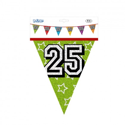 Holografische vlaggenlijn '25' (30 x 20 cm)(8 m)