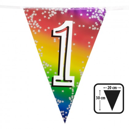 Folievlaggenlijn Rainbow '1' (30 x 20 cm, 6 m)