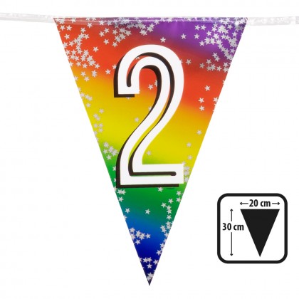 Folievlaggenlijn Rainbow '2' (30 x 20 cm, 6 m)