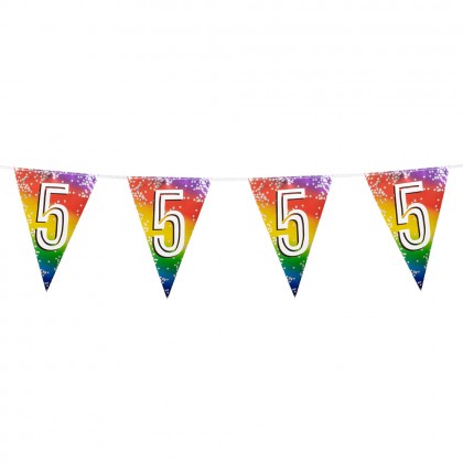 Folievlaggenlijn Rainbow '5' (30 x 20 cm, 6 m)