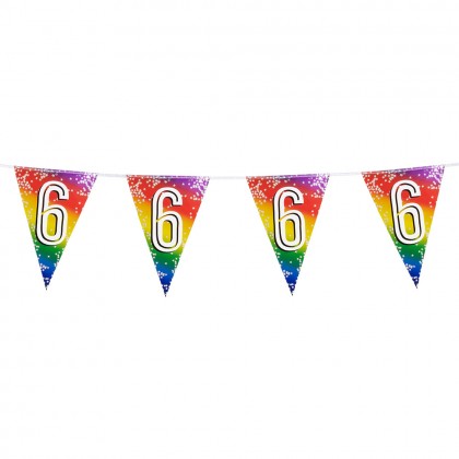Folievlaggenlijn Rainbow '6' (30 x 20 cm, 6 m)
