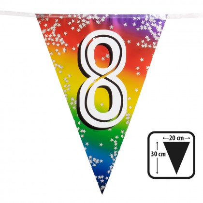 Folievlaggenlijn Rainbow '8' (30 x 20 cm, 6 m)