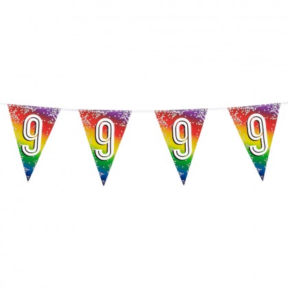 Folievlaggenlijn Rainbow '9' (30 x 20 cm, 6 m)
