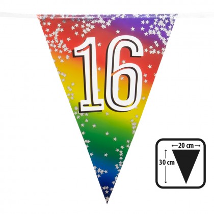 Folievlaggenlijn Rainbow '16' (30 x 20 cm, 6 m)