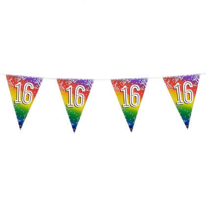 Folievlaggenlijn Rainbow '16' (30 x 20 cm, 6 m)