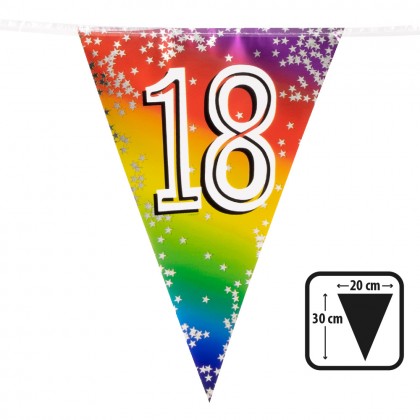 Folievlaggenlijn Rainbow '18' (30 x 20 cm, 6 m)