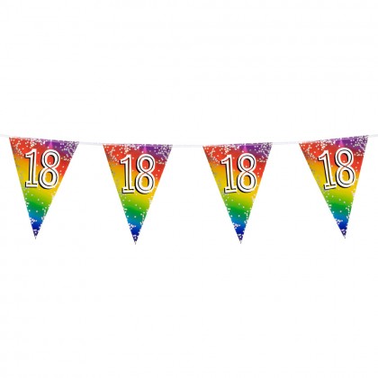 Folievlaggenlijn Rainbow '18' (30 x 20 cm, 6 m)