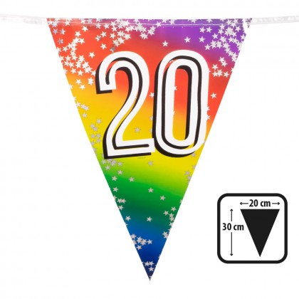 Folievlaggenlijn Rainbow '20' (30 x 20 cm, 6 m)
