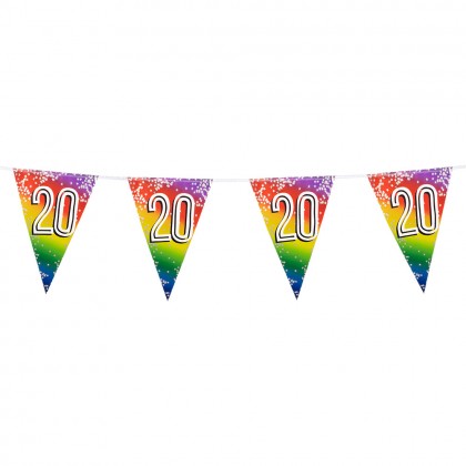Folievlaggenlijn Rainbow '20' (30 x 20 cm, 6 m)