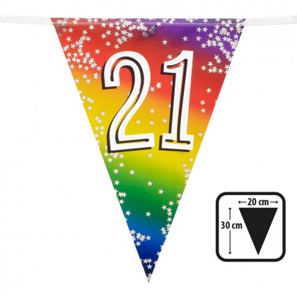 Folievlaggenlijn Rainbow '21' (30 x 20 cm, 6 m)