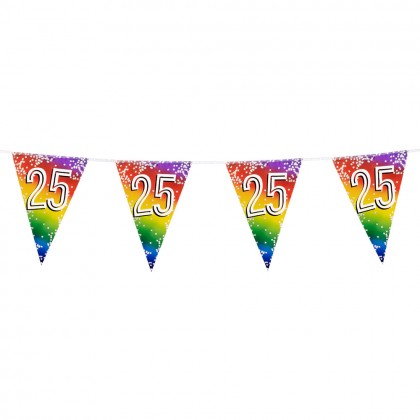 Folievlaggenlijn Rainbow '25' (30 x 20 cm, 6 m)