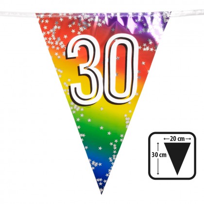 Folievlaggenlijn Rainbow '30' (30 x 20 cm, 6 m)