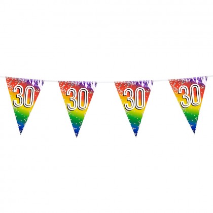 Folievlaggenlijn Rainbow '30' (30 x 20 cm, 6 m)
