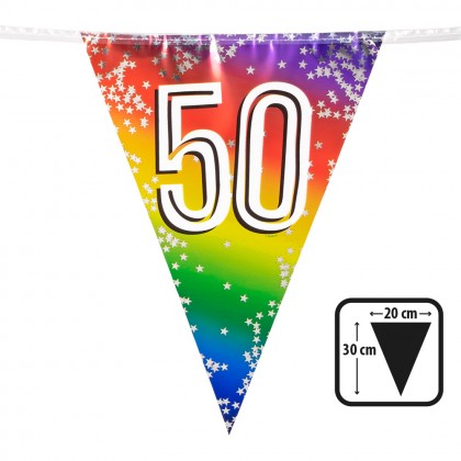 Folievlaggenlijn Rainbow '50' (30 x 20 cm, 6 m)