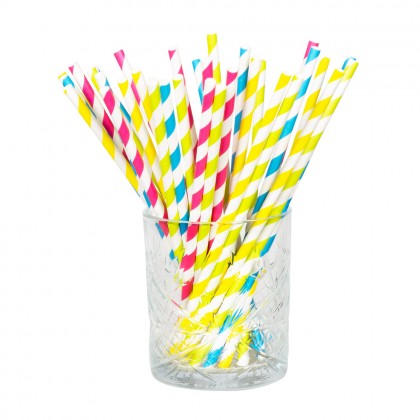 Set 20 papieren rietjes multikleur (20 cm)