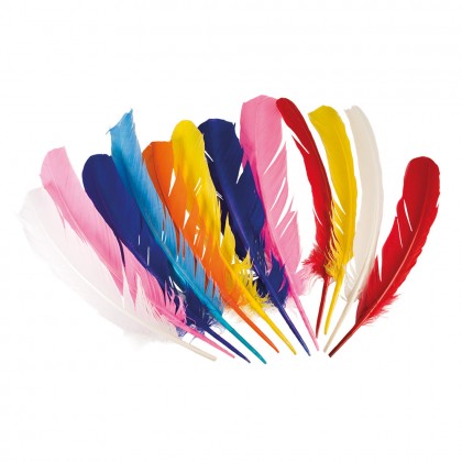 Set 12 veren 7 kleuren (30 cm)