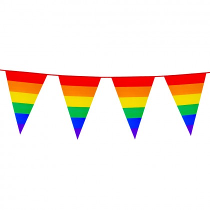 PE vlaggenlijn Regenboog (45 x 30 cm)(8 m)