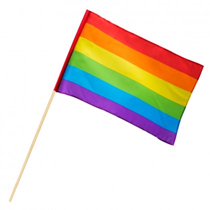 Polyester zwaaivlag Regenboog (30 x 45 cm / 76 cm stok)
