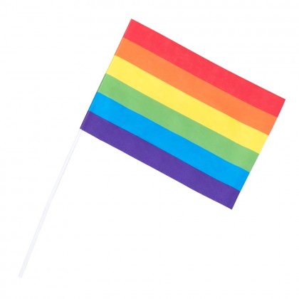 Set 6 papieren zwaaivlaggen Regenboog (20 x 14 cm / 40 cm stok)
