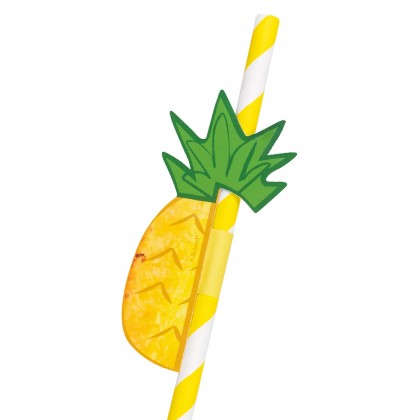 Set 6 papieren rietjes Fruit 2 designs (20 cm)