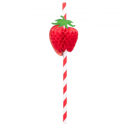 Set 6 papieren rietjes Fruit 2 designs (20 cm)