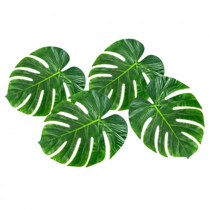 Set 4 palmbladeren