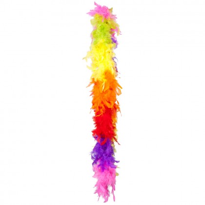 Boa 50 g Party regenboog (180 cm)