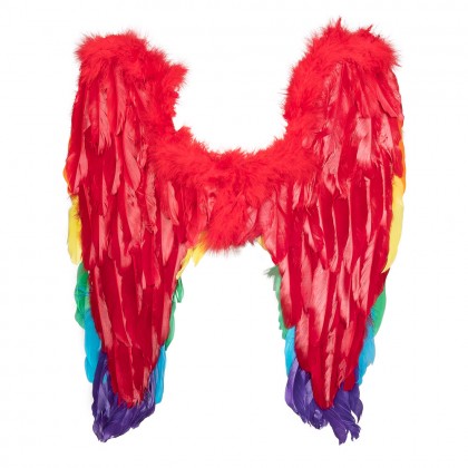 Engelenvleugels Divine regenboog (50 x 50 cm)