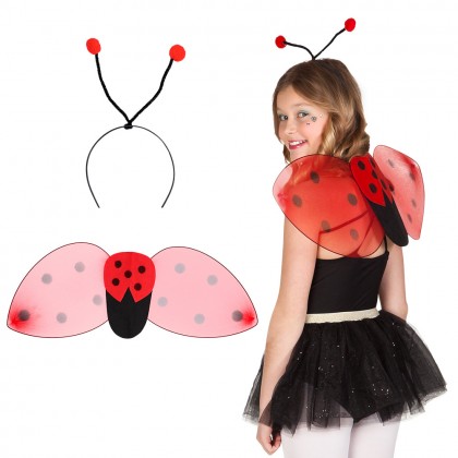Set Lieveheersbeestje kind (diadeem en vleugels)