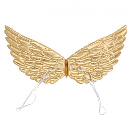 Set Eenhoornfee goud (tiara, vleugels en tutu)