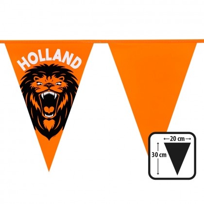PE vlaggenlijn brullende leeuw 'Holland' (30 x 20 cm, 6 m)