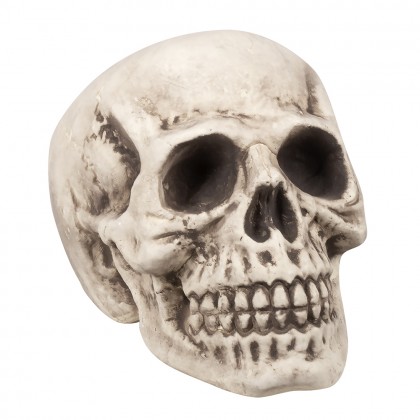 Schedel Bighead (23 x 22 x 31 cm)