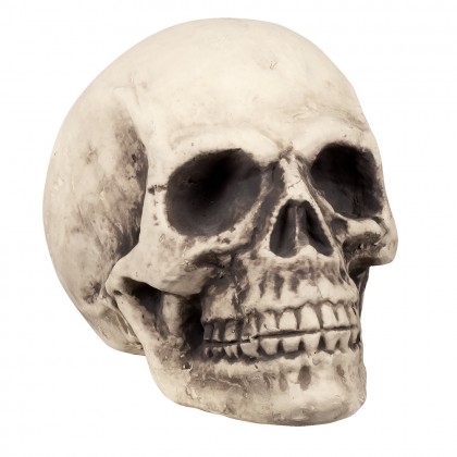 Schedel Bighead (27 x 27 x 38 cm)