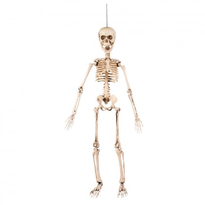 Hangdecoratie Beweegbaar skelet Flex (50 cm)
