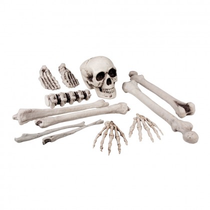 Set schedel en beenderen 12-delig (23 cm)