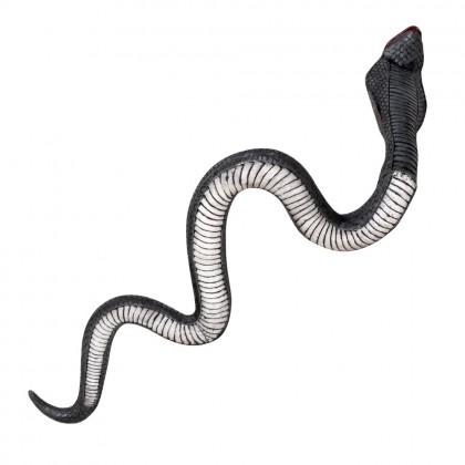 St. Latex cobra (31 x 65 cm)