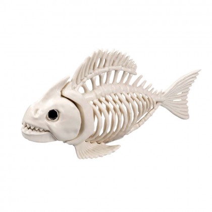 Vissenskelet (26 x 7 x 13 cm)