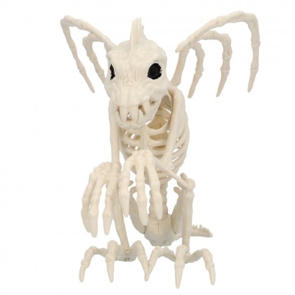 Skelet Gargoyle (34 x 18 x 23 cm)